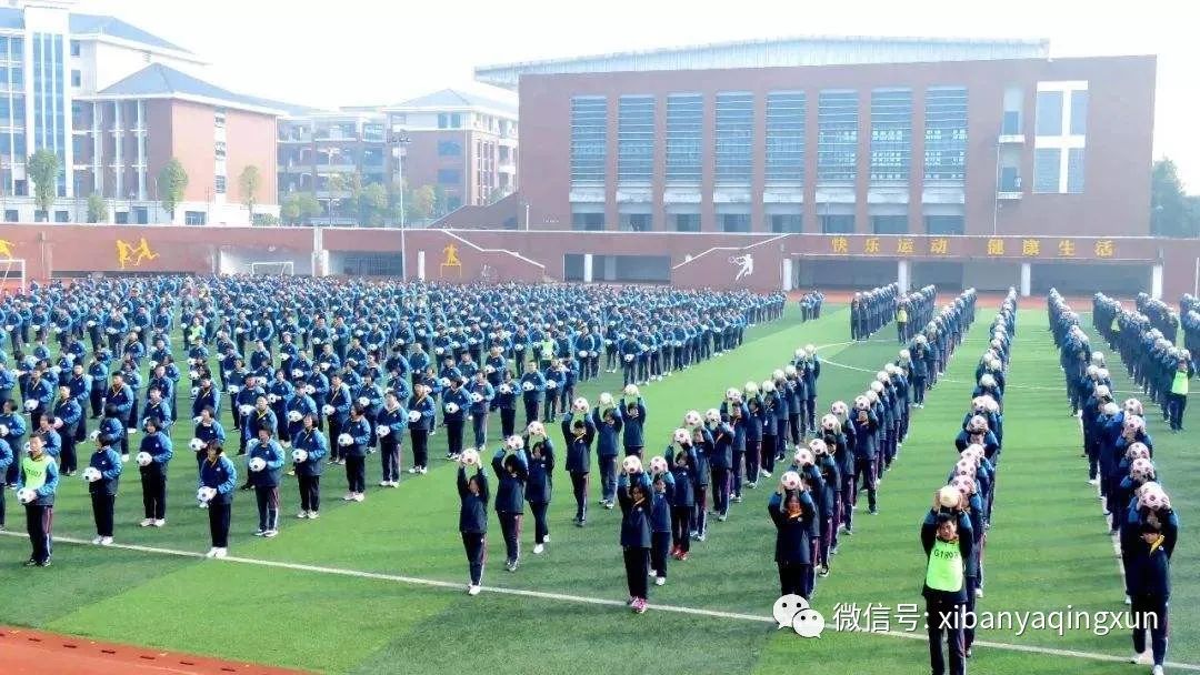 西已为常|错怪足协很多年（上）