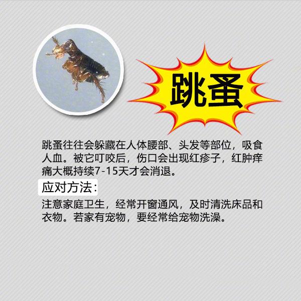 夏天防虫知识100条,夏季防虫叮咬小知识