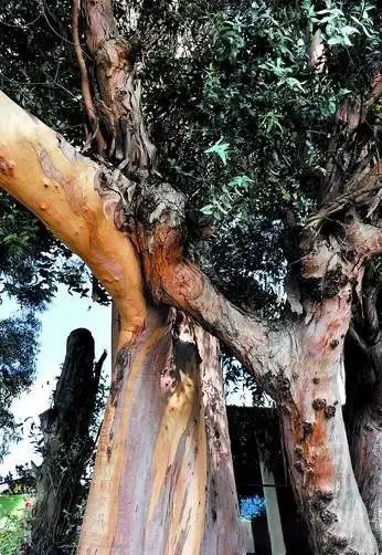 老昆明100个冷知识,关于昆明的50个冷知识