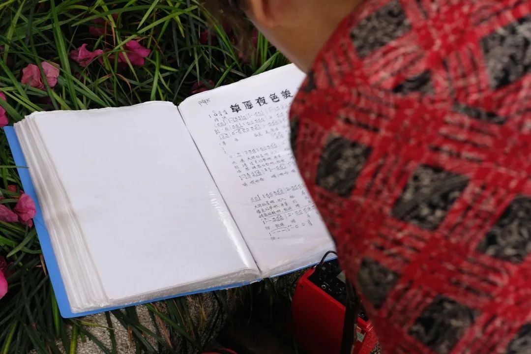 少陵路是属于哪个街道,三年前少陵路