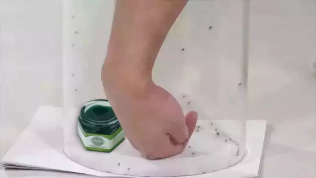 1罐搞定一整夏！20秒止痒消肿，让蚊虫再无嚣张机会