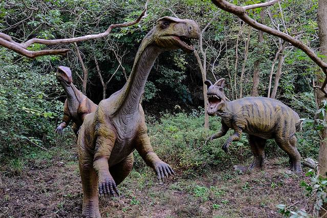 黄陂木兰景区哪个适合孩子玩,武汉黄陂木兰旅游攻略