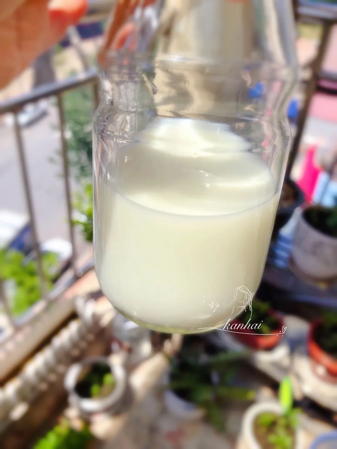 喜宝原装进口辅食品种,喜宝hipp有机婴幼儿水果谷物粉200g