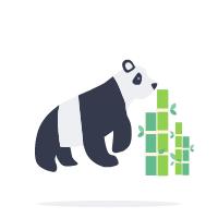 熊猫拍照怎么拍出高级感,熊猫拍照拍摄姿势