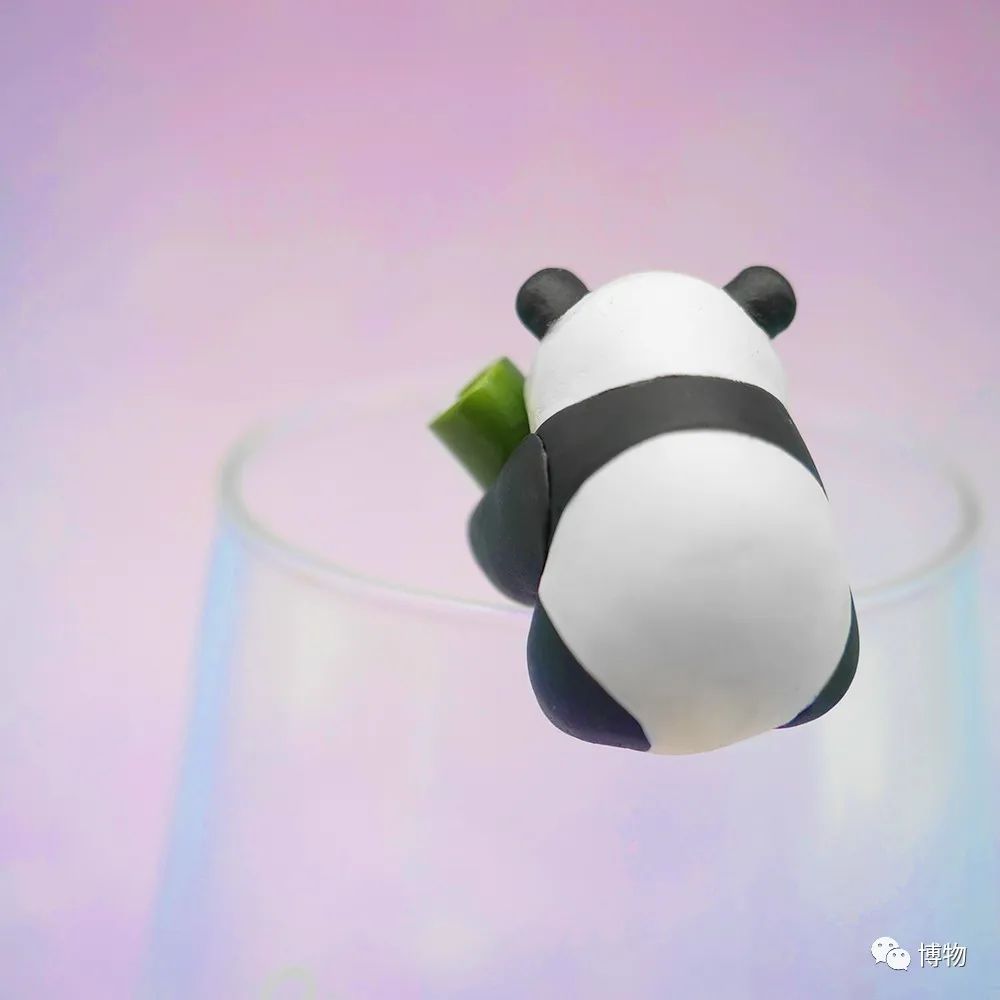 能拍彩色照片的大熊猫,大熊猫为啥不能拥有一张彩色照片