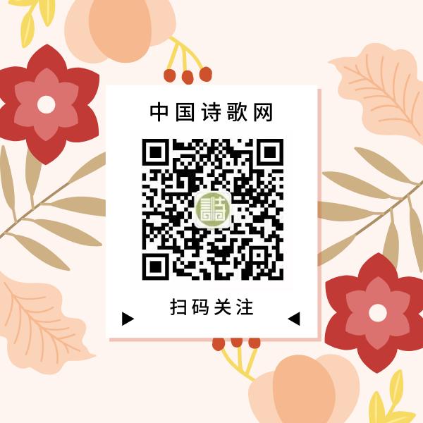 你羡慕的人有哪些,你羡慕的人每天在手机上看什么