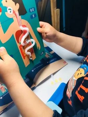 六一儿童节男孩子最喜欢什么玩具,儿童节玩具小孩