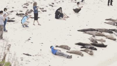 苹果谷歌被指歧视黑人，看完原因我呆了