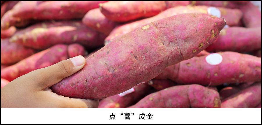 一个街道的顺德,我眼中顺德