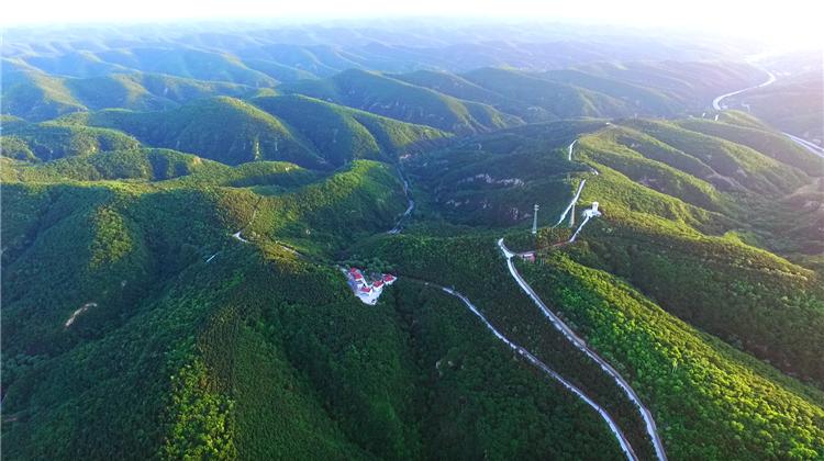 再造子午岭,再造一个子午岭有效吗