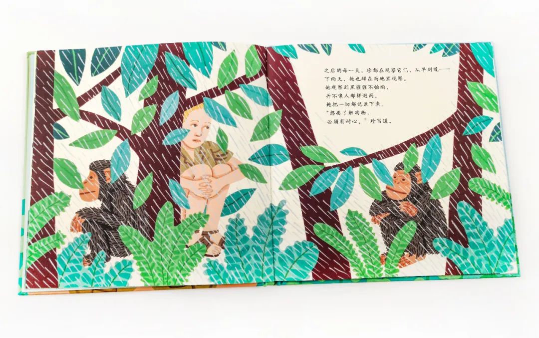 家里有女儿的一定要给她看的书,有女儿该看的书