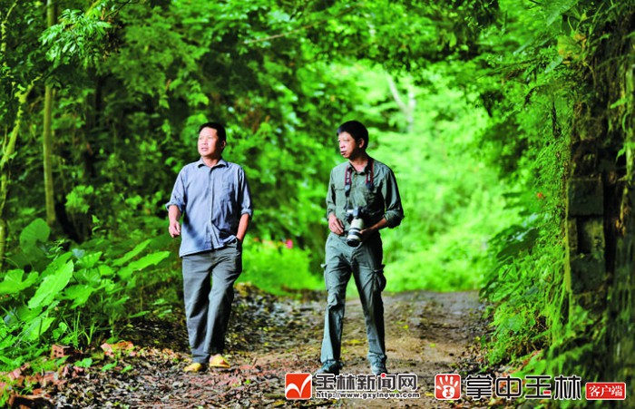 福绵森林公园视频,福绵区风景区