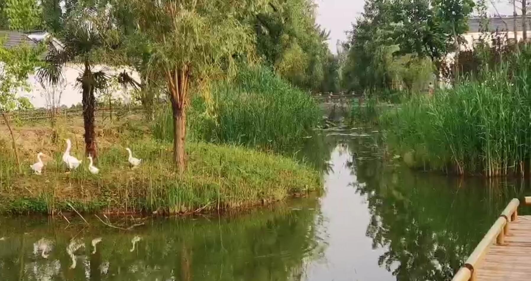 画里话里歌曲完整版,画里话原创歌曲