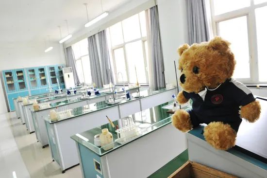 北京市第十四中学招生简章,北京市第八十中学招生计划