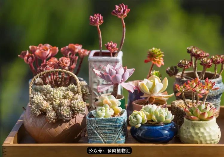 专注于自己喜欢的事情,专注于自己喜爱的事情