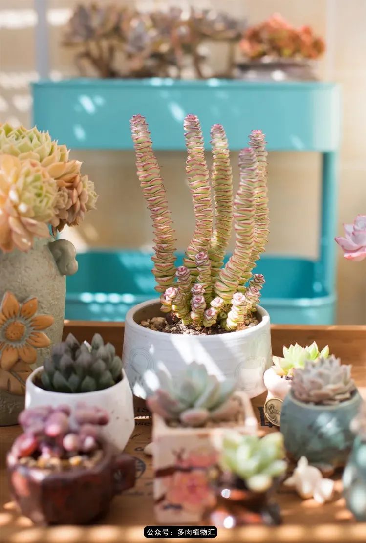 专注于自己喜欢的事情,专注于自己喜爱的事情