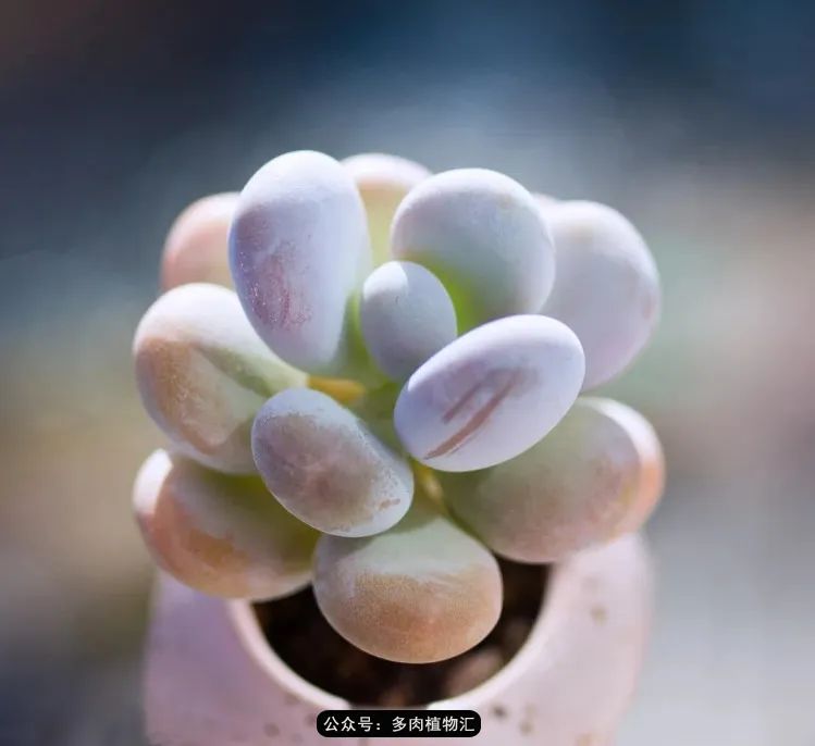 专注于自己喜欢的事情,专注于自己喜爱的事情