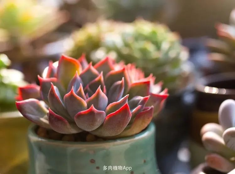 专注于自己喜欢的事情,专注于自己喜爱的事情