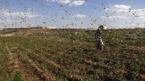 6月8日到10日是什么假期,6月8日上海展会