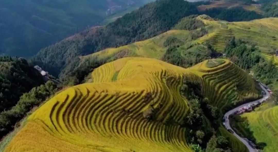 什么是广西科目一二三四,什么是广西步