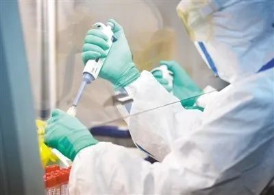 p2p3实验室是什么,p2p3实验室等级划分