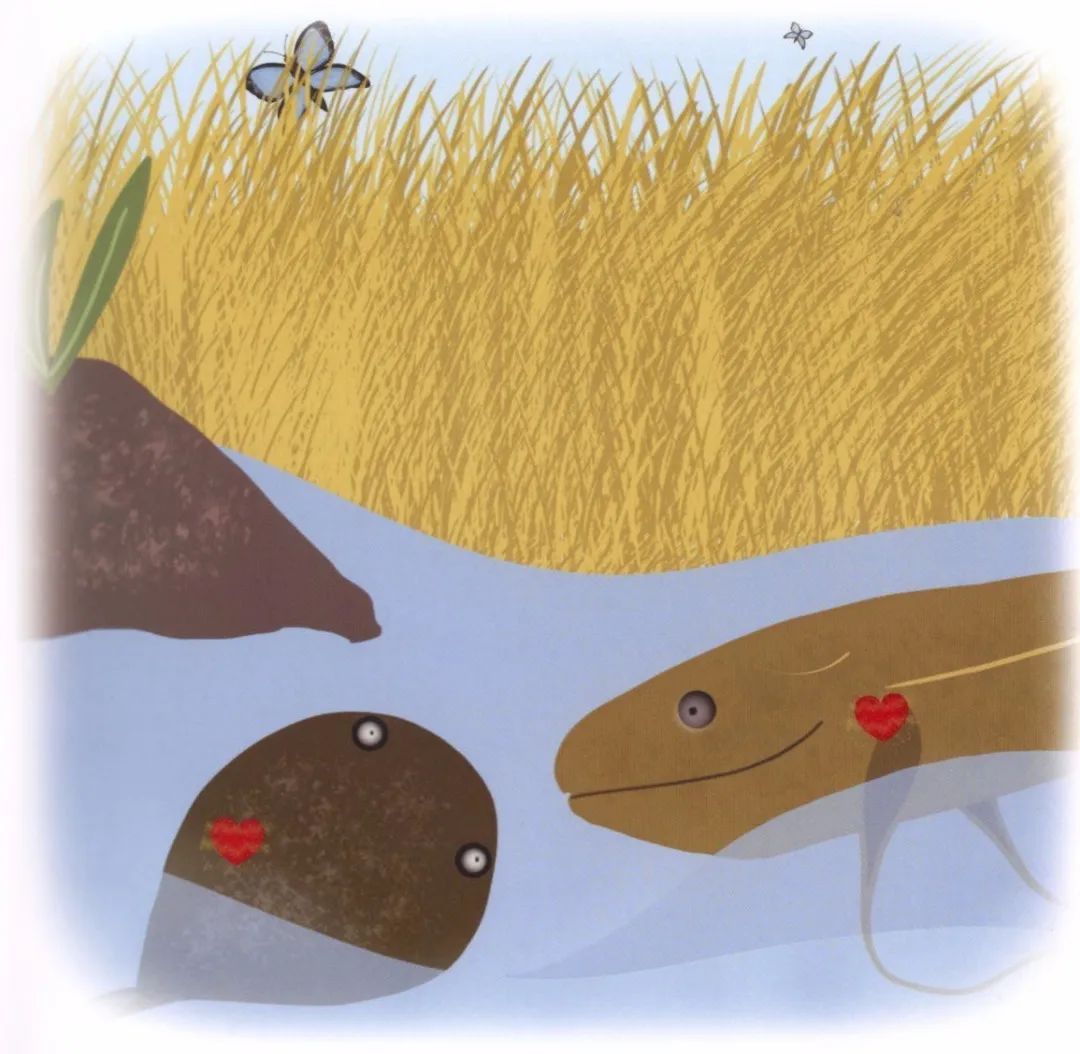 邕小环讲生态故事｜感谢蜱虫：面对自然界的奇妙，我们不得不服