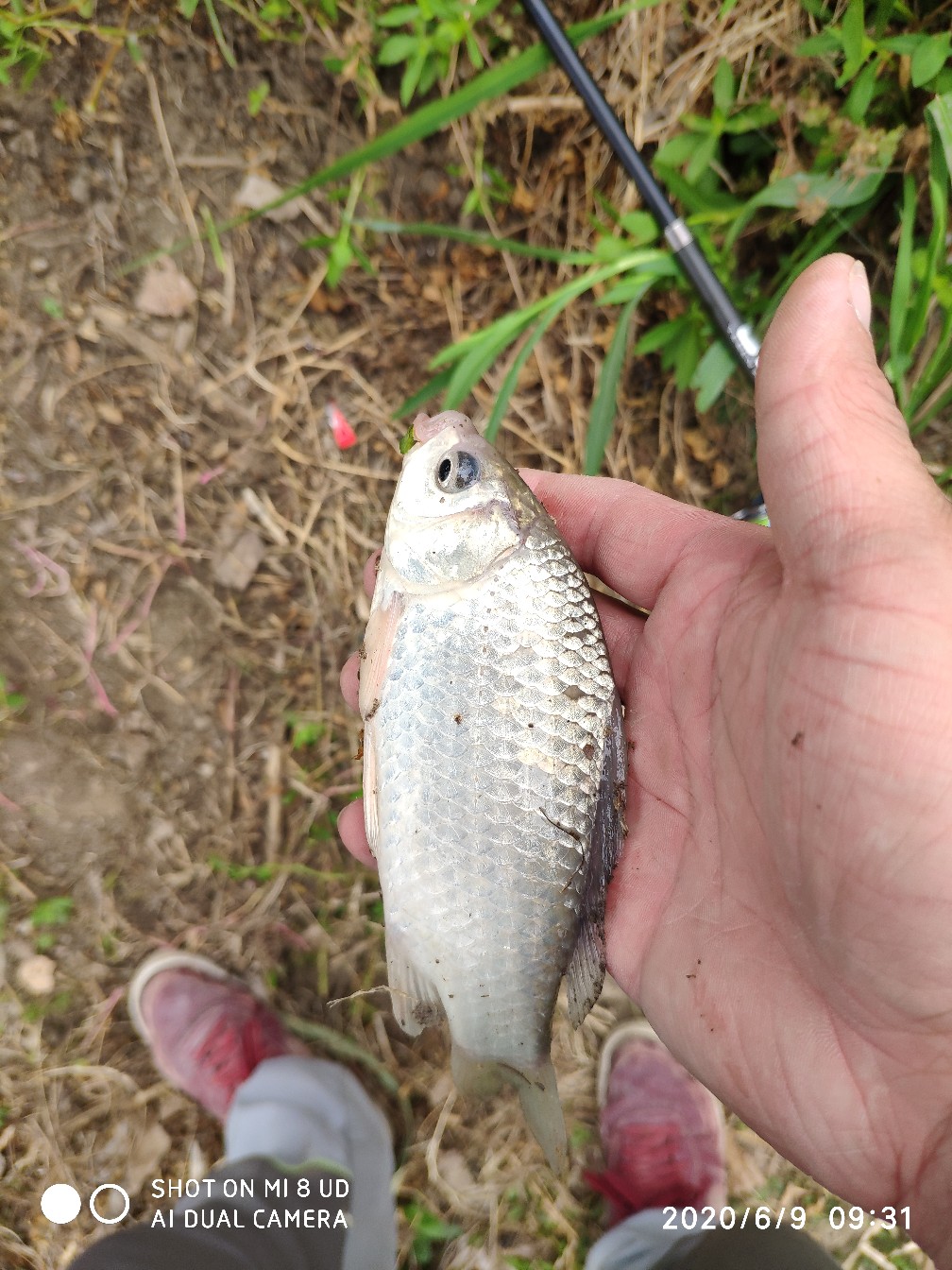 小矶竿导环怎么修复,小矶竿手把节修复