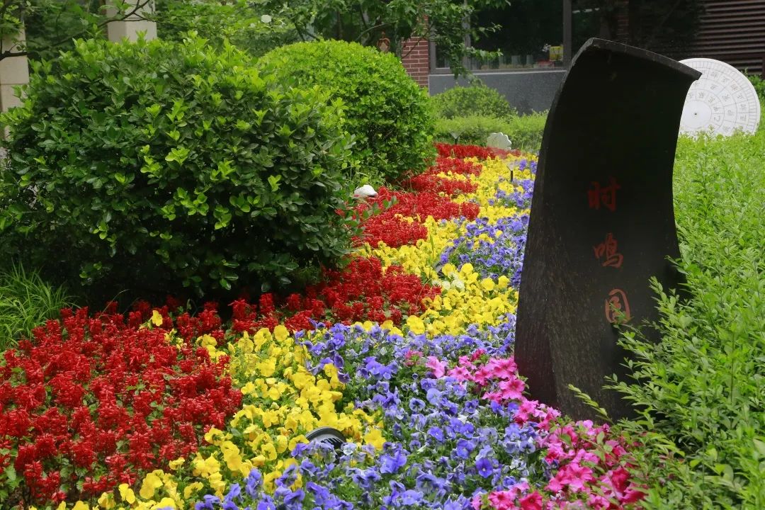 海淀学校都是“宝”，我们带您“云”探校|第二辑