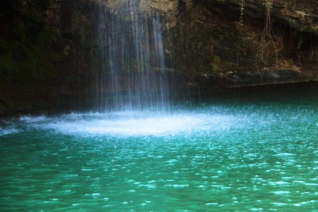 溶洞、观鸟、湿地雨林、网红吊桥、瀑布...只要99元小鲁哥带你清凉一夏