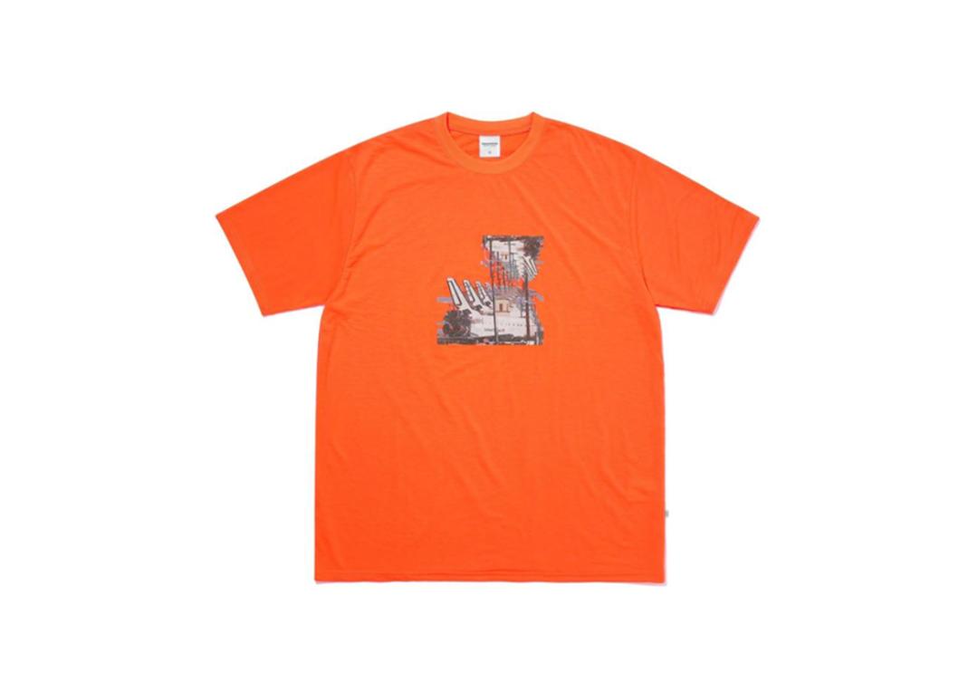 被女生刷屏,明星火爆同款