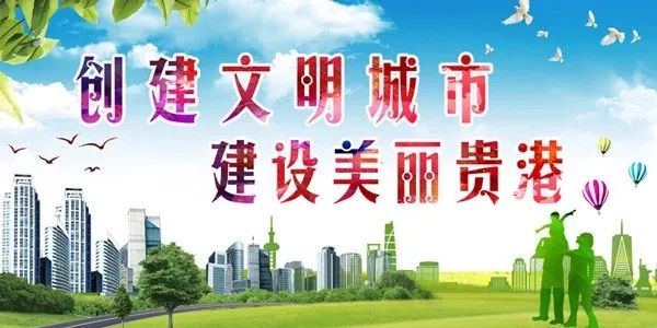 广西贵港市举办全区运动会,广西贵港运动会开幕式贵港代表团