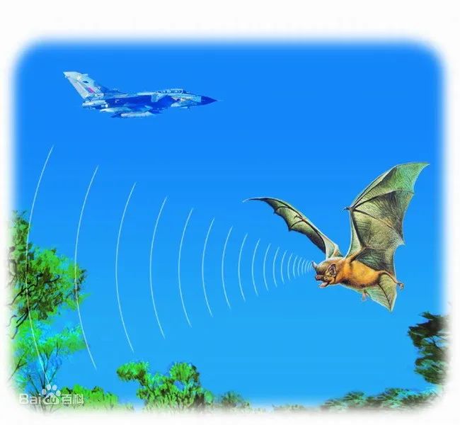 你是我的眼影视剪辑,你是我的眼南郑区