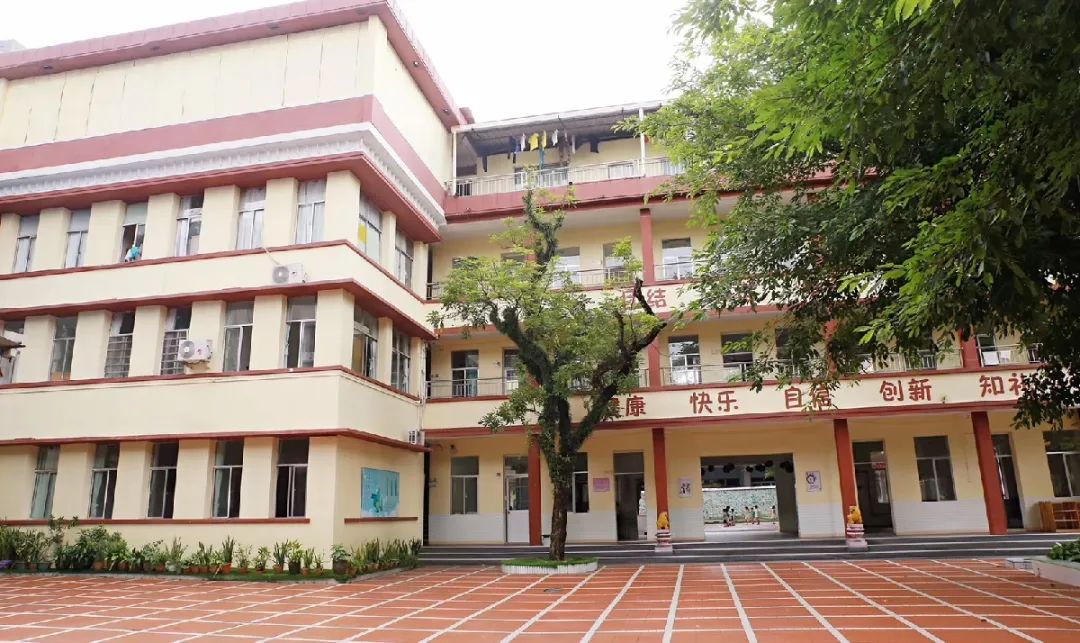 增城区新塘镇幼儿园最新消息,增城新塘比较好的公办幼儿园