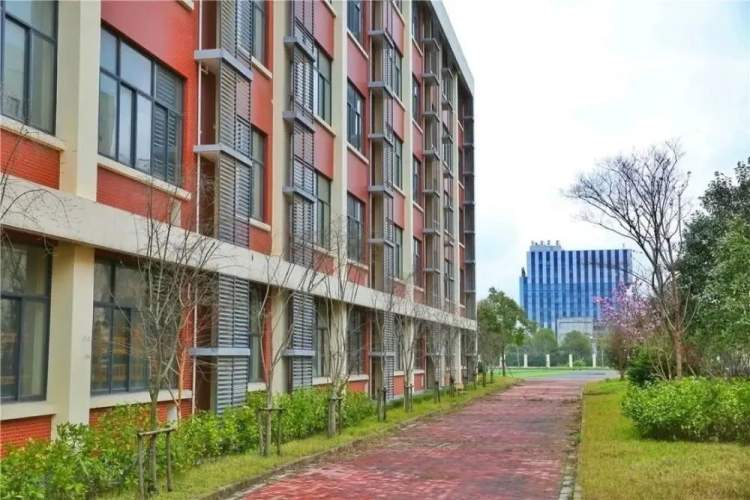 近三年上海小升初人数统计,2023上海各区小升初人数