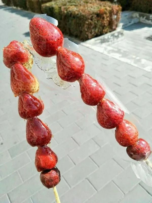 毕业季我的初中生活,毕业季我和我的校园时光