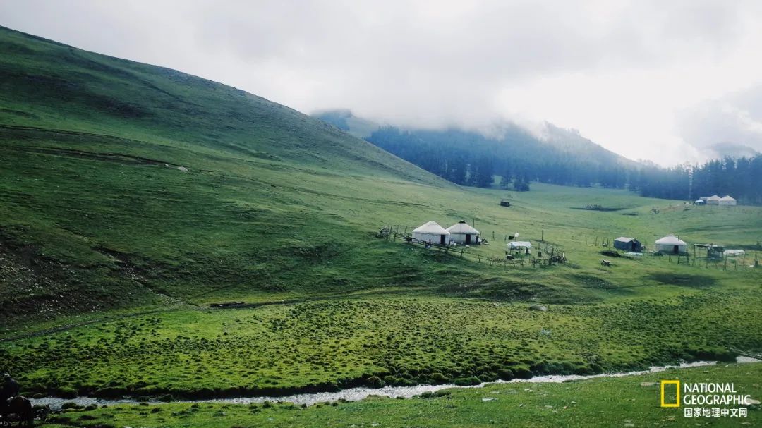有一种异域风情的美,有一种前所未有的力量充斥着我