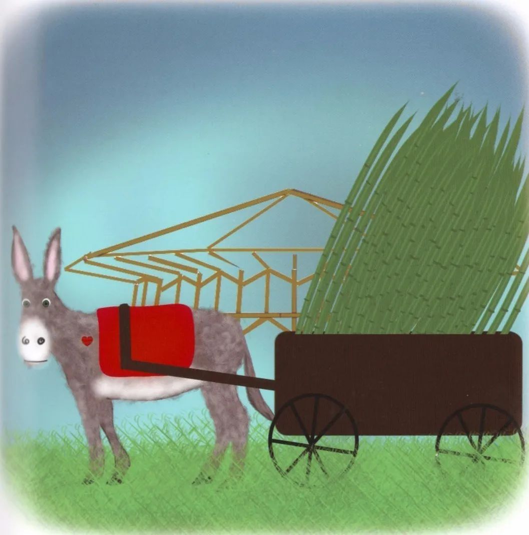 邕小环讲生态故事｜竹子的馈赠：土种树，木养土。竹子的功劳，你知不知道？