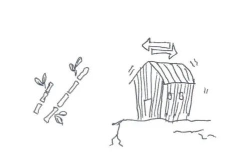 邕小环讲生态故事｜竹子的馈赠：土种树，木养土。竹子的功劳，你知不知道？