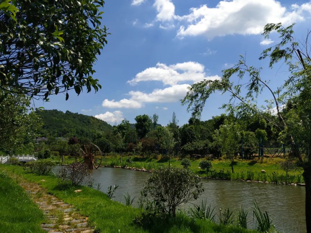 刷屏了！这样的开福蓝，请给我来一打