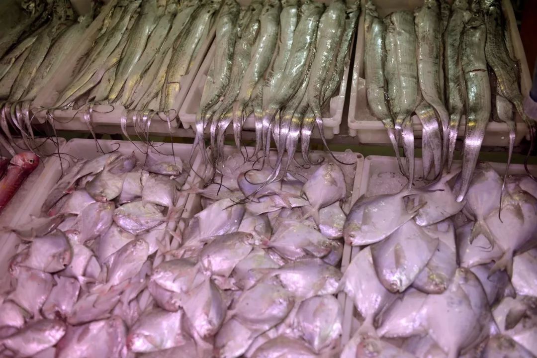 防城港哪里的海鲜便宜旅游攻略,沿海岸线走哪条旅游线最好