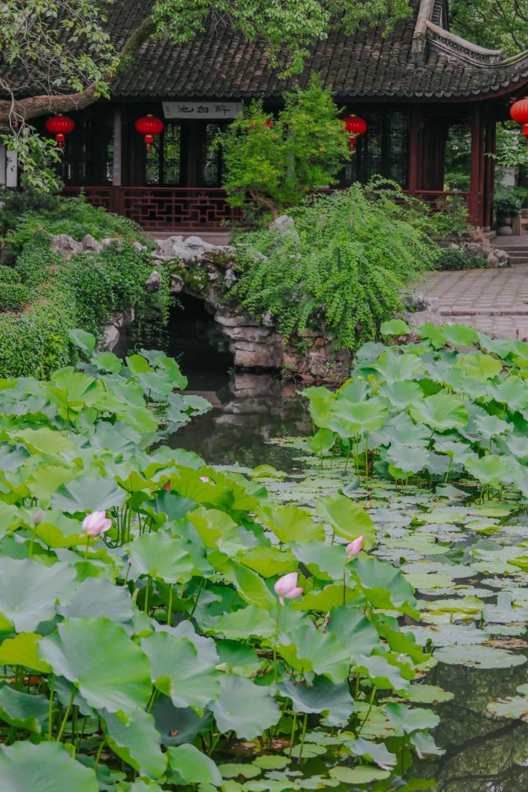 松江9号线好玩的地方有哪些呢,地铁松江一日游