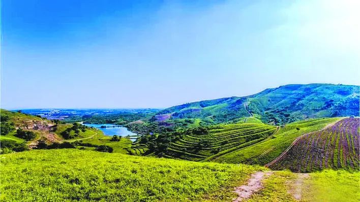 庐州石头传奇:“石公、石婆、石小姐”、“棋盘石”、“霸王石”……