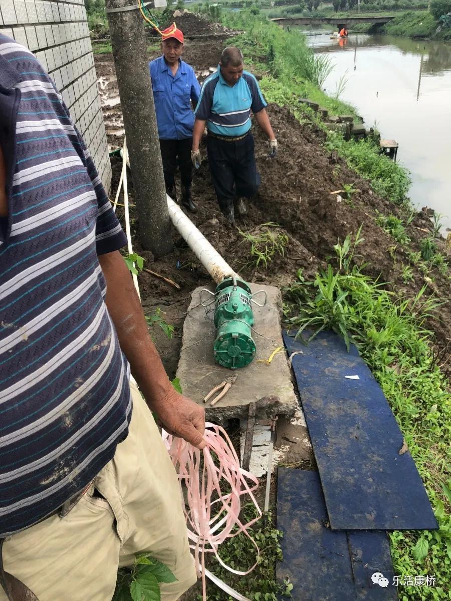 康桥镇学生日记,康桥日记内容