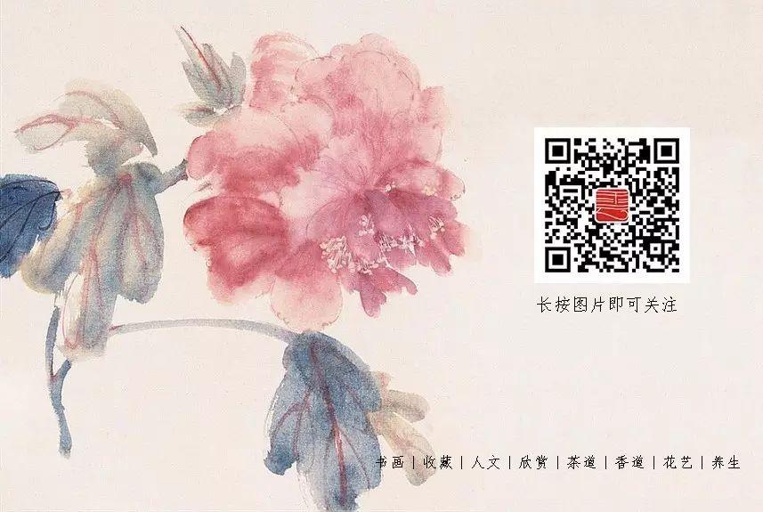 推荐年轻人必备的几个公众号,有什么能快速增长见识的公众号