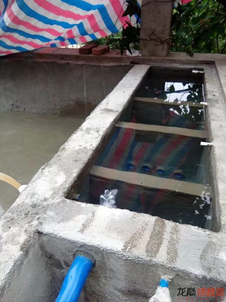 锦鲤池建造施工过程,楼顶怎么施工建锦鲤池