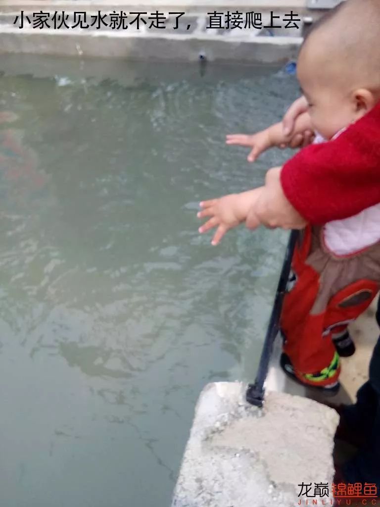 锦鲤池建造施工过程,楼顶怎么施工建锦鲤池