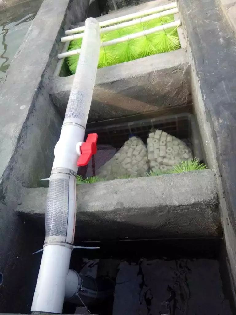 锦鲤池建造施工过程,楼顶怎么施工建锦鲤池