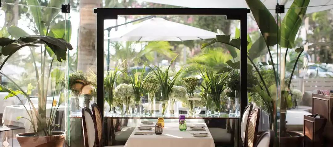 许你“梦想”与“美德”，这个传奇酒店品牌公布中文名