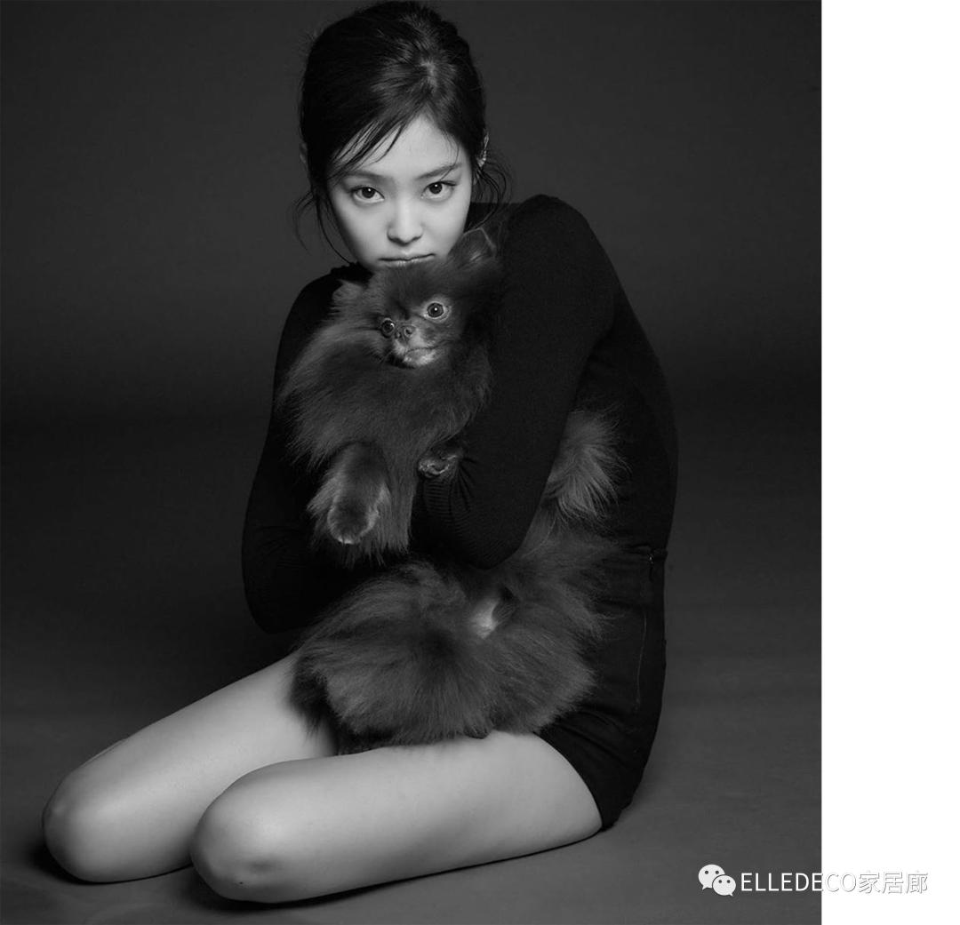 blackpink四小只各有各的风格,blackpink这次回归哪两位最亮眼