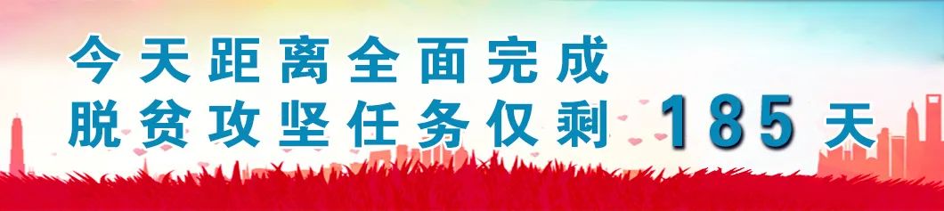 1600人！2020年甘肃省三支一扶招募公告